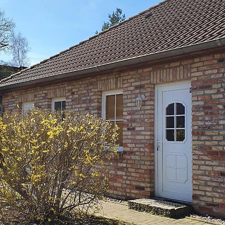 Ferienwohnungen Ruegen-Glueck Lohme Zewnętrze zdjęcie